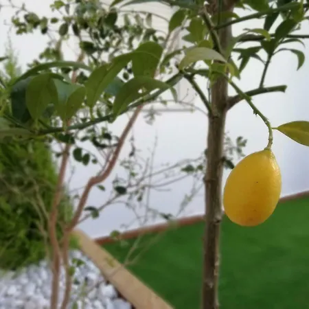 Apartamento Villamartin, Tranquilo Y Con Parking Conil De La Frontera