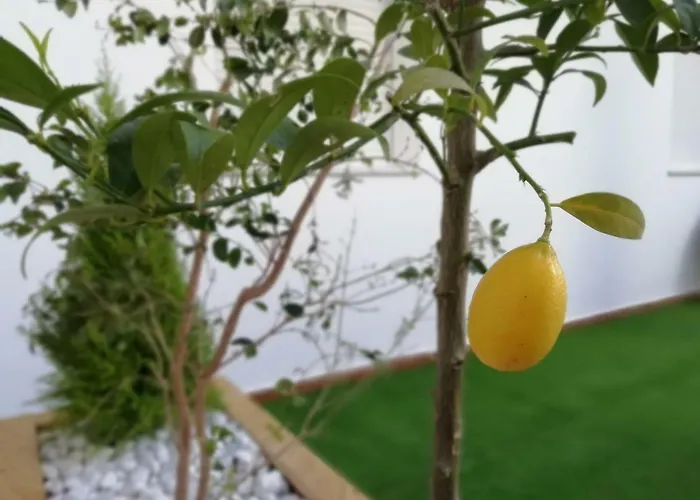 Appartement Villamartin, Tranquilo Y Con Parking Conil De La Frontera